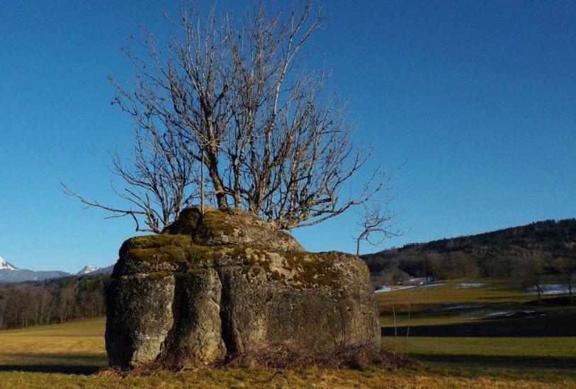 Vestiges de Bossonnens, Bossonnens, Switzerland, Switzerland